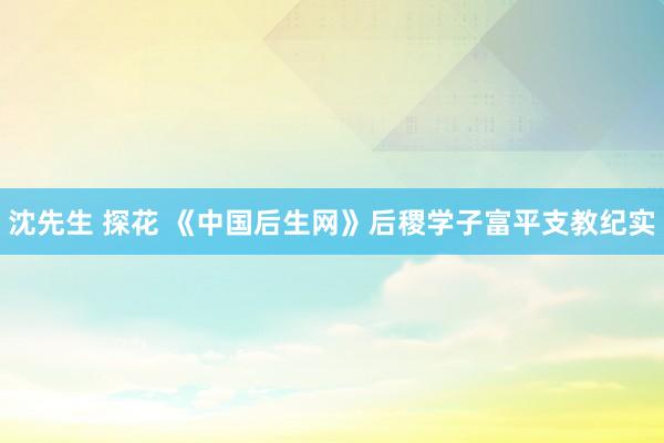 沈先生 探花 《中国后生网》后稷学子富平支教纪实