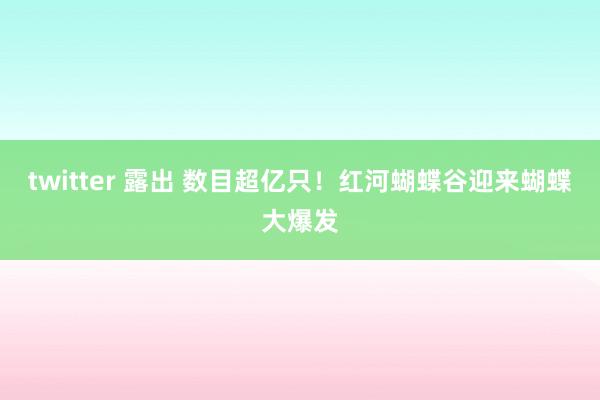 twitter 露出 数目超亿只！红河蝴蝶谷迎来蝴蝶大爆发