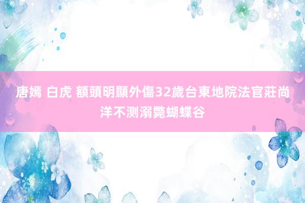 唐嫣 白虎 額頭明顯外傷　32歲台東地院法官莊尚洋不测溺斃蝴蝶谷