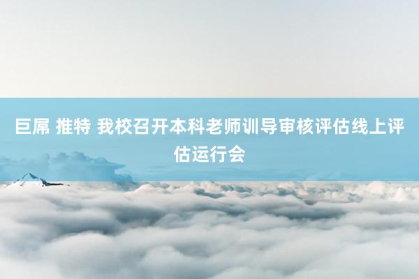 巨屌 推特 我校召开本科老师训导审核评估线上评估运行会