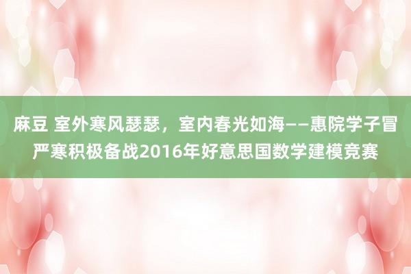 麻豆 室外寒风瑟瑟，室内春光如海——惠院学子冒严寒积极备战2016年好意思国数学建模竞赛