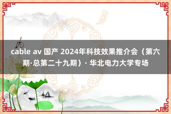 cable av 国产 2024年科技效果推介会（第六期·总第二十九期）· 华北电力大学专场