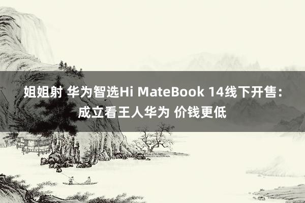 姐姐射 华为智选Hi MateBook 14线下开售：成立看王人华为 价钱更低