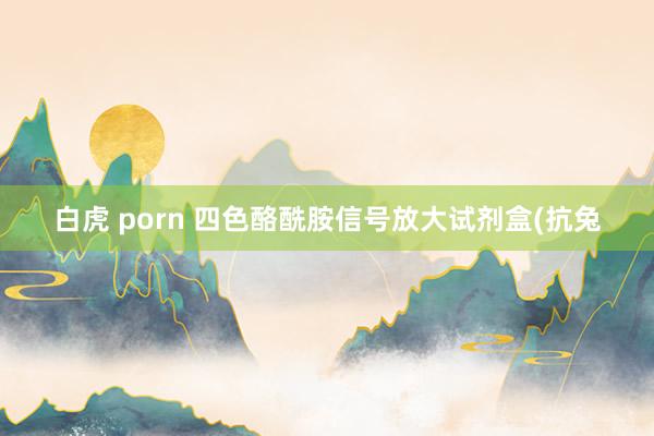 白虎 porn 四色酪酰胺信号放大试剂盒(抗兔