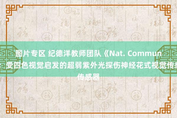 图片专区 纪德洋教师团队《Nat. Commun.》：受四色视觉启发的超弱紫外光探伤神经花式视觉传感器