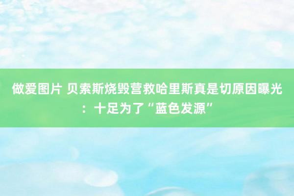 做爱图片 贝索斯烧毁营救哈里斯真是切原因曝光：十足为了“蓝色发源”