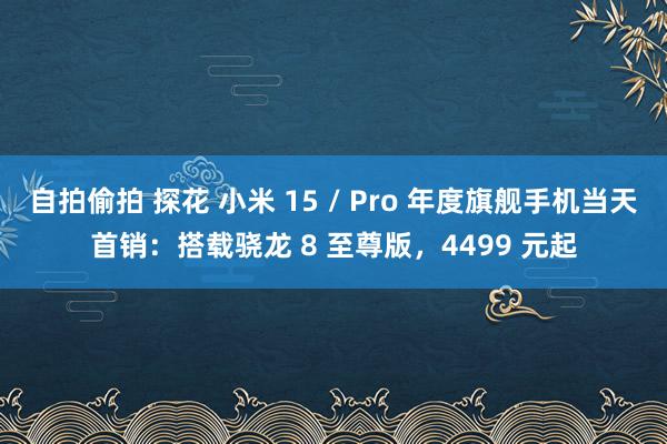 自拍偷拍 探花 小米 15 / Pro 年度旗舰手机当天首销：搭载骁龙 8 至尊版，4499 元起