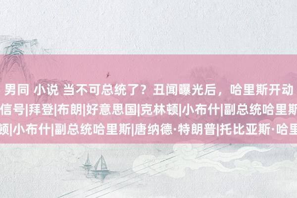 男同 小说 当不可总统了？丑闻曝光后，哈里斯开动自救！中方收到非凡信号|拜登|布朗|好意思国|克林顿|小布什|副总统哈里斯|唐纳德·特朗普|托比亚斯·哈里斯