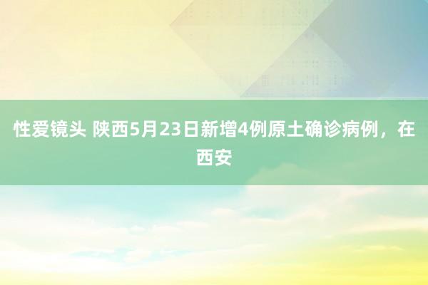 性爱镜头 陕西5月23日新增4例原土确诊病例，在西安