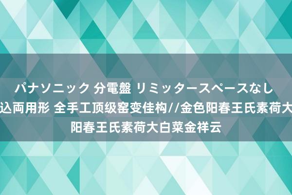 パナソニック 分電盤 リミッタースペースなし 露出・半埋込両用形 全手工顶级窑变佳构//金色阳春王氏素荷大白菜金祥云