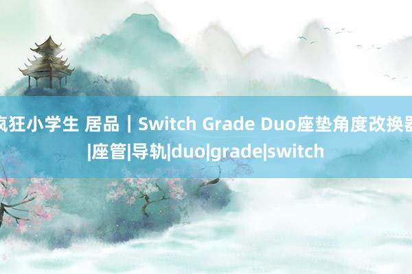 疯狂小学生 居品｜Switch Grade Duo座垫角度改换器|座管|导轨|duo|grade|switch