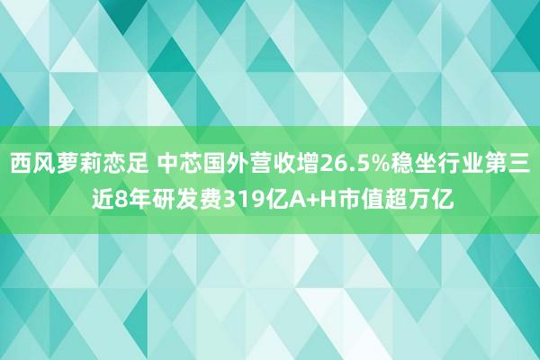 西风萝莉恋足 中芯国外营收增26.5%稳坐行业第三 近8年研发费319亿A+H市值超万亿