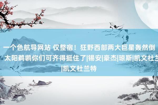 一个色航导网站 仅整宿！狂野西部两大巨星轰然倒下！太阳鹈鹕你们可齐得挺住了|锡安|豪杰|琼斯|凯文杜兰特