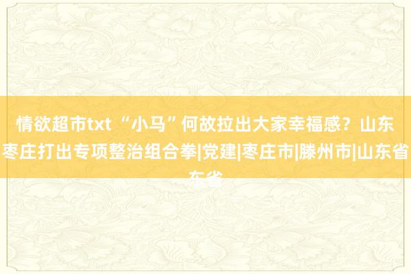 情欲超市txt “小马”何故拉出大家幸福感？山东枣庄打出专项整治组合拳|党建|枣庄市|滕州市|山东省