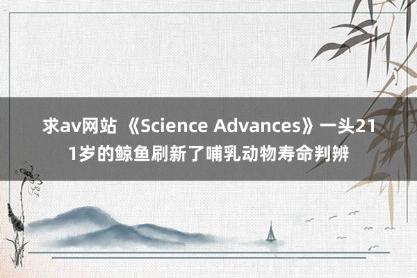 求av网站 《Science Advances》一头211岁的鲸鱼刷新了哺乳动物寿命判辨